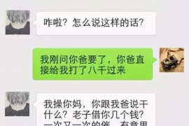 盘锦为什么选择专业追讨公司来处理您的债务纠纷？